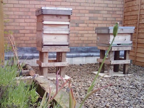 Beekeeper Honey Event