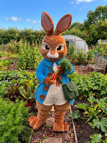 It's all about the bunnies!